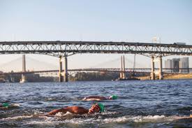 Can You Swim In The Niagara River? | Toniagara