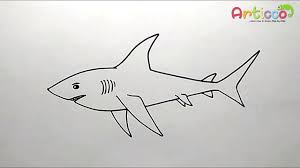 Check spelling or type a new query. How To Draw White Shark Step By Step Youtube