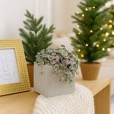 Image result for Ceropegia elongata