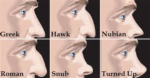 Red lights produce green shadows, orange lights produce blue shadows, and so on. Parts Of The Nose Coloring Pages Learny Kids