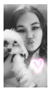 Missing support dog in Seffner area, Kingsway/Wheeler