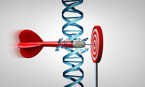 Analytical techniques for faster development of drug delivery systems