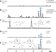 You cannot access the demo version of ehague using your regular wipo account. The Sporothriolides A New Biosynthetic Family Of Fungal Secondary Metabolites Chemical Science Rsc Publishing Doi 10 1039 D0sc04886k