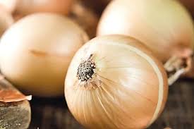 Epingle Sur Jardin Dans Une Bouteille
