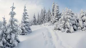 In nederland en belgië valt gemiddeld op ongeveer 30 dagen per jaar sneeuw, maar er gaan jaren voorbij zonder sneeuwval van betekenis. Sneeuw Op Komst Vanaf Donderdag Winter In Alpen De Volkskrant