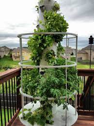 Towergarden A Vertical Aeroponic Growing System No Dirt No Kneeling No Weeding Perfect For Your Deck Patio Tower Garden Garden Photos Aeroponic Gardening