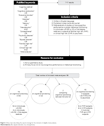 Full Text Cognitive Dysfunction In Bipolar Disorder And