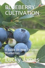 Reportlinker.com has been visited by 10k+ users in the past month Blueberry Cultivation A Guide On How To Grow Blueberries James Lucky 9781089981879 Amazon Com Books