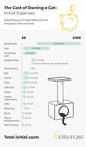Dog teeth cleaning costs by type. The Cost Of Owning A Cat In The Uk 2020 The Dog People By Rover Com