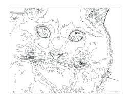 Coloring pages featuring addition, subtraction, multiplication, and division. Printable Paint Numbers 2561 Free Printable Pages Free Printable Paint By Numbers For Adu Color By Number Printable Disney Coloring Pages Animal Coloring Pages