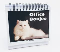 We did not find results for: Office Gift For Cat Lovers Moodycards Make Everyone Laugh With These Adorable And Hilarious Cat Memes