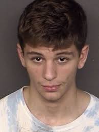 St. Mary's College Student Arrested After Punching Two Public Safety  Officers in Their Faces