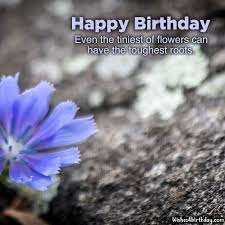 Happy belated birthday beautiful flowers. Most Delighted And Birthday Flower Gifts For Her Happy Birthday Wishes Memes Sms Greeting Ecard Images