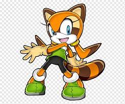 Sonic Rush Adventure Sonic the Hedgehog Tails Raccoon Cream the Rabbit,  Racoon Pic, carnivoran, sonic The Hedgehog, dog Like Mammal png | PNGWing