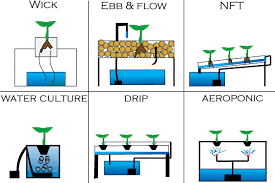 Free shipping on qualified orders. Aeroponics Study Comes To Life Digital Harbor Foundation