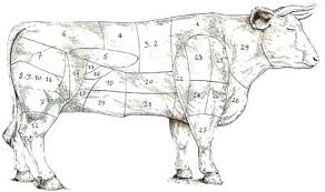 Morceaux Dans Le Boeuf Boeuf Dessin