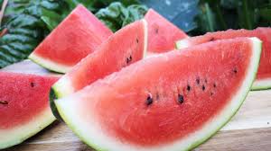 We did not find results for: Wassermelonen Im Garten Anbauen Pflegen Und Ernten Mdr De