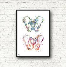 Bassin Art Art Medical Anatomie Squelette Humain Aquarelle Etsy Medical Art Gallery Wall Art