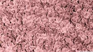 Check out our rose gold flowers selection for the very best in unique or custom, handmade pieces from our artificial flowers shops. Rose Gold Tumblr Wallpapers Top Free Rose Gold Tumblr Backgrounds Wallpaperaccess