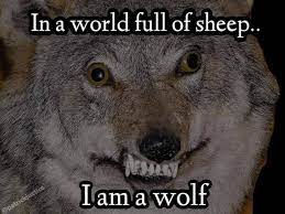 Pin By Rory Bell On Memes Sheep Meme Memes Sheep