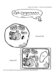 Assalamualaikum and hello, it's revision time! Biology Form 4 Chapter 2 Cell Structure And Organisation Tissue Biology Epithelium