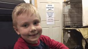 Un bimbo di quattro anni scrive a Babbo Natale dei suoi due gatti smarriti  e riceve un bel regalo