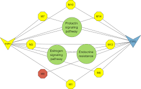 Image result for Cassipourea gummiflua