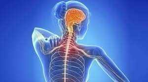 1 a diferencia del tetrahidrocannabinol (thc), el cannabidiol no es psicoactivo y se considera que tiene un alcance más amplio para aplicaciones médicas —incluyendo epilepsia, 2 y encefalopatías epilépticas como el síndrome. Que Es La Esclerosis Multiple Salud Facmed