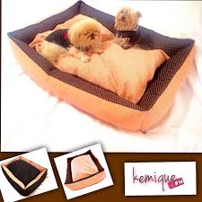Igersturkiye Ilovemydog Instamood Instalove Istanbul Instapet Instadog Izmir Igers Petsofinstagram Petfashion Petcloth Goruntuler Ile Kopek Yataklari Kopek Minder