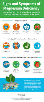 magnesium deficiency all about magnesium algaecal