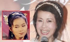 diep dong y thien do long ky