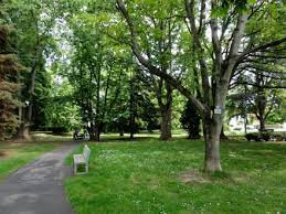 We did not find results for: Spaziergang Durch Den Botanischen Garten Bild Botanischer Garten Eschwege In Eschwege