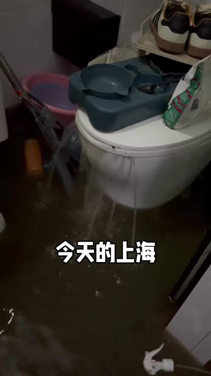 汤汤水水，马桶里突然冒出水，别人都以为是普通的水，这房，不能要了，这个家就不能要了 太恶心了，这房子还能要吗 不干净了 @张小鱼（上海本地装修）  #上海排水系统 #上海积水 #上海漏水 #杨浦 #上海