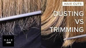 How To Get Rid Of Split Ends Dusting Vs Trimming Hair Com Youtube Hair Dusting Diy Hair Trim Split Ends