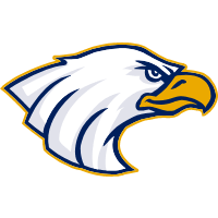 Textured Chocolate Squares