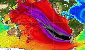 Copy Of Chile Earthquake 1960 Science And Nature Earthquake Natural Disasters