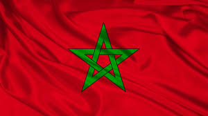 National Pride The Moroccan Flag Moroccan Flag Morocco Flag Flag Coloring Pages