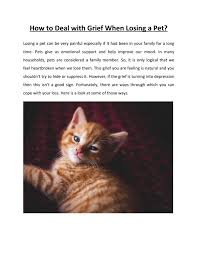 Check spelling or type a new query. How To Deal With Grief When Losing A Pet By Martin Hopp Issuu
