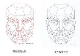 顔の黄金比と白銀比なんです pourquoi pourquoi 黄金比 テンプレ 顔