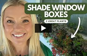 21 Shade Plants That Thrive in Low Light