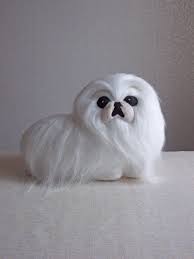 Pin On Pekingese Japanese Chin