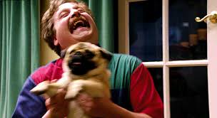 This dog who literally cannot handle all the cupcakes. Top 30 Fat Dog Gifs Find The Best Gif On Gfycat