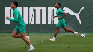 Palmeiras - News update