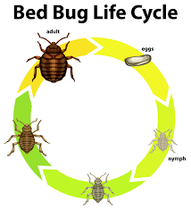In wisconsin, these often include Glendale Residential And Commercial Pest Control Services A Landlords Pest Management Milwaukee Wisconsin