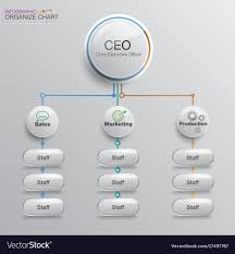 Organize Chart Infographic