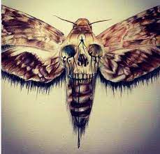 Realistic Skull Moth Tattoo Design Moth Tattoo Moth Tattoo Design Moth Tattoos