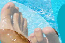 Horaires De La Piscine De Ploemeur Et De Lorient Sos Tracteur