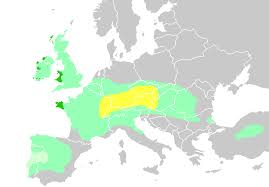 The normans imposed unity and linked it permanently with the culture of southern europe. Celtic Languages Wikipedia