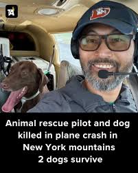 Tragic Event: Seuk Kim, Rescue Dog Pilot