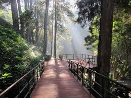 Wisata Alam Maribaya Lembang Foto Wisata Tempat Liburan Taman Miniatur